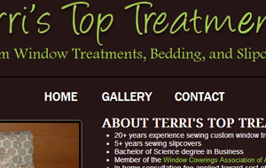 Terri's Top Treatments project thumbnail